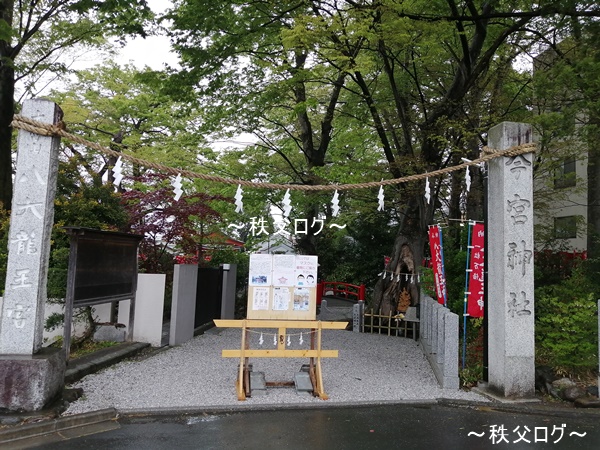 パワースポット 秩父今宮神社 八大龍王宮 ご利益から御朱印帳 お守りまで徹底解説 駐車場やアクセスについても紹介 秩父ログ チチブログ